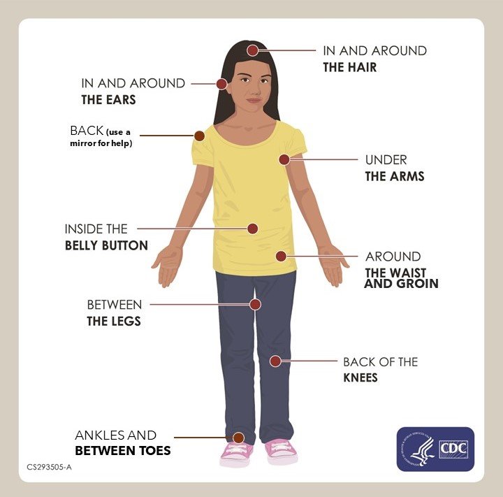 tick+check+diagram