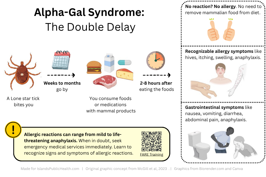Infographic titled “Alpha-Gal Syndrome: The Double Delay.” The graphic explains how an allergic reaction develops in stages over time. On the left, an illustration of a lone star tick with the caption “A lone star tick bites you.” An arrow points right to a calendar icon labeled “Weeks to months go by.” Another arrow points to images of foods and medications containing mammal products, including meat, dairy, and pills, with the text “You consume foods or medications with mammal products.” A final arrow points to a clock labeled “2–8 hours after eating the foods,” indicating a delayed reaction. On the right side, a boxed section explains possible outcomes and symptoms: At the top: “No reaction? No allergy. No need to remove mammalian food from diet,” with thumbs-up icons. Below: “Recognizable allergy symptoms like hives, itching, swelling, anaphylaxis,” with illustrations of a rash and skin reactions. Below that: “Gastrointestinal symptoms like nausea, vomiting, diarrhea, abdominal pain, anaphylaxis,” with images of a person vomiting and someone holding their stomach in pain. At the bottom left, a highlighted warning box states: “Allergic reactions can range from mild to life-threatening anaphylaxis. When in doubt, seek emergency medical services immediately. Learn to recognize signs and symptoms of allergic reactions.” A QR code labeled “FARE Training” appears next to the text. Overall, the infographic emphasizes that alpha-gal syndrome involves two delays: time between a tick bite and developing sensitivity, and a delayed allergic reaction occurring hours after consuming mammal-derived foods or medications.