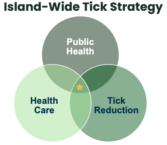 The image has a title: "Island-wide tick strategy." Underneath it has three overlapping circles show the words Public Health, Health Care, and Tick Reduction